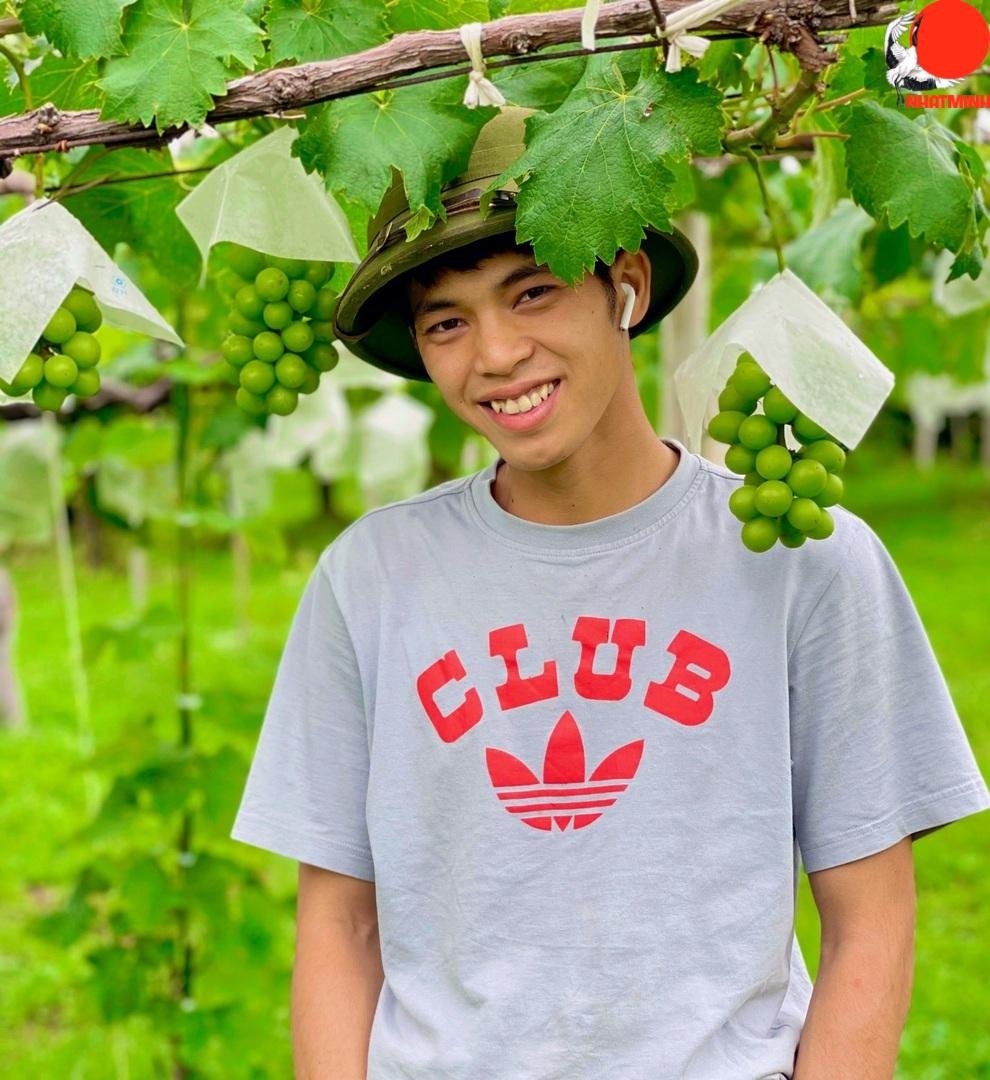 Lao động Việt ở Nhật sốc vì vừa xin cam hôm sau hàng xóm chặt cây - 1 Lao động Việt ở Nhật sốc vì vừa xin cam hôm sau hàng xóm chặt cây - 1